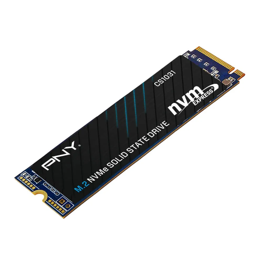 PNY CS1031 256GB Gen3 NVMe Internal SSD