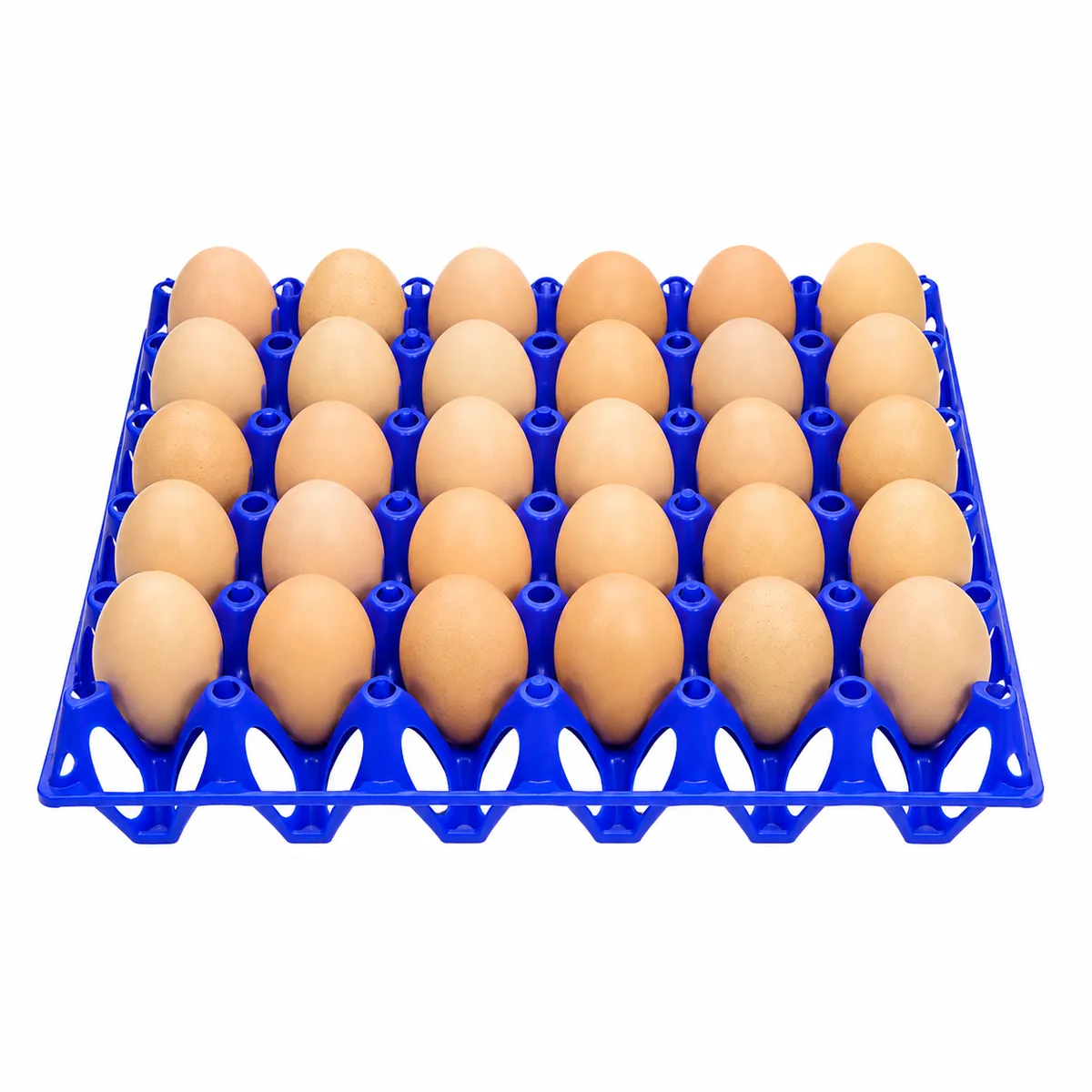 Set Of 30 Plastic Egg Tray.